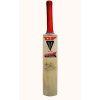 Sir Ian Botham Signed Duncan Fearnley Cricket Bat