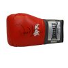 David Haye Signed Boxing Glove